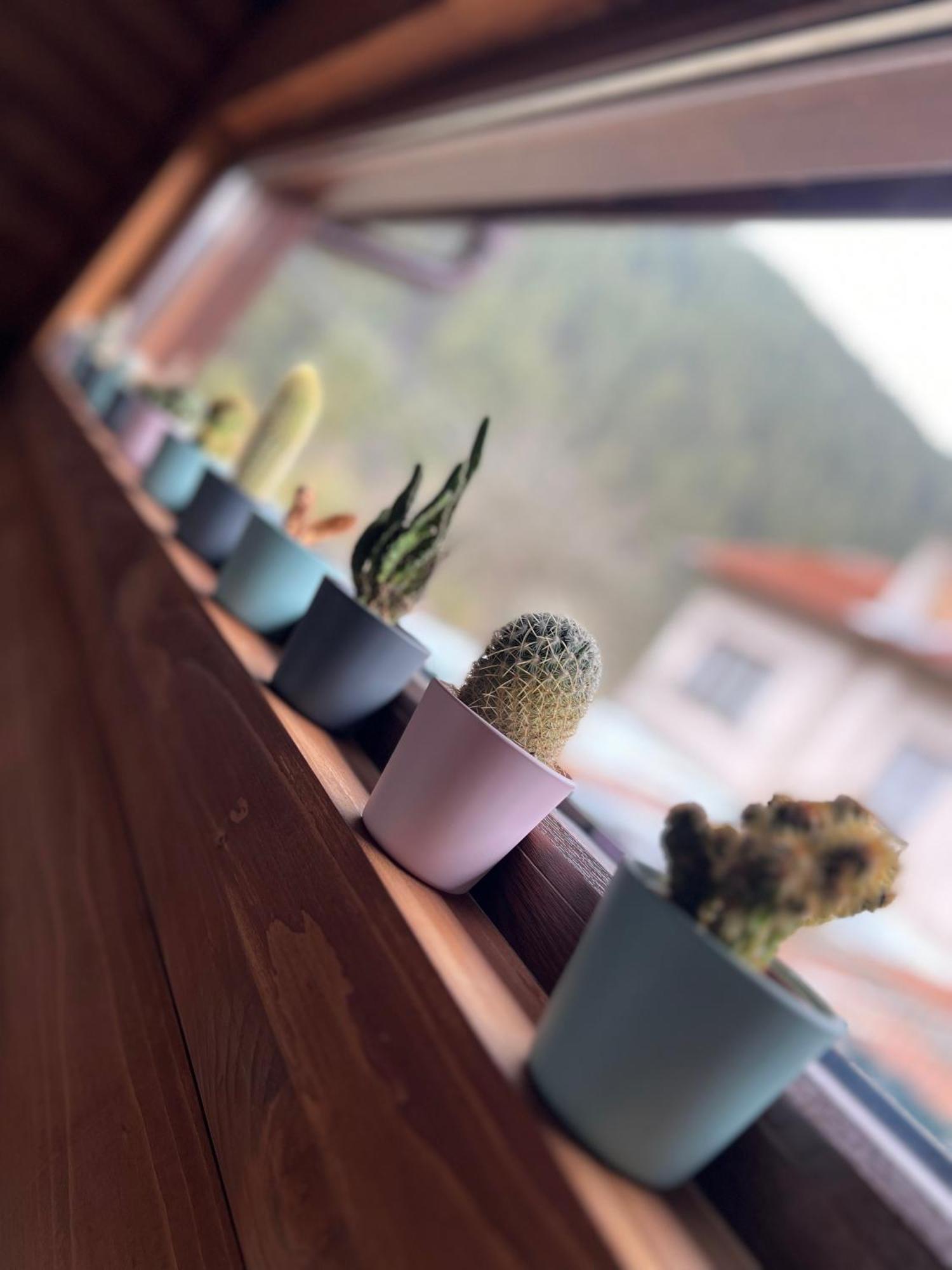 Guest House Recharge Govedartsi Εξωτερικό φωτογραφία