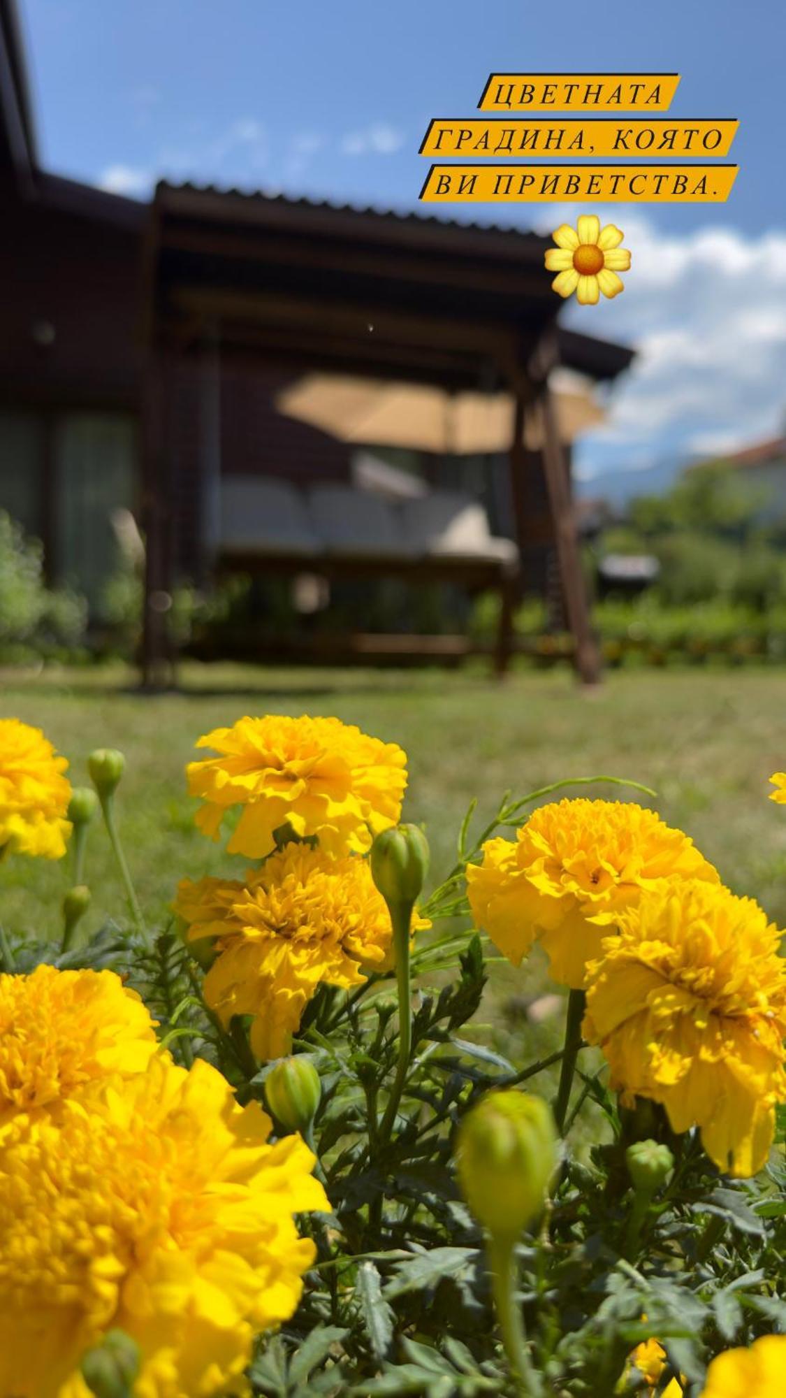 Guest House Recharge Govedartsi Εξωτερικό φωτογραφία